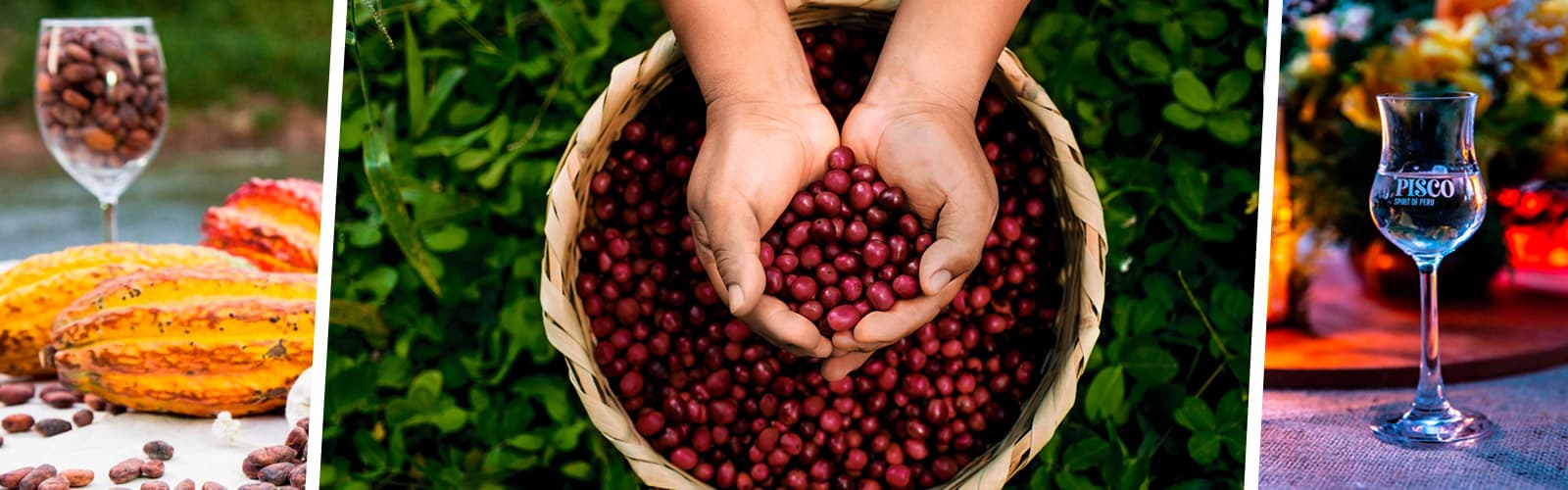 Peruvian cocoa, pisco, and coffee