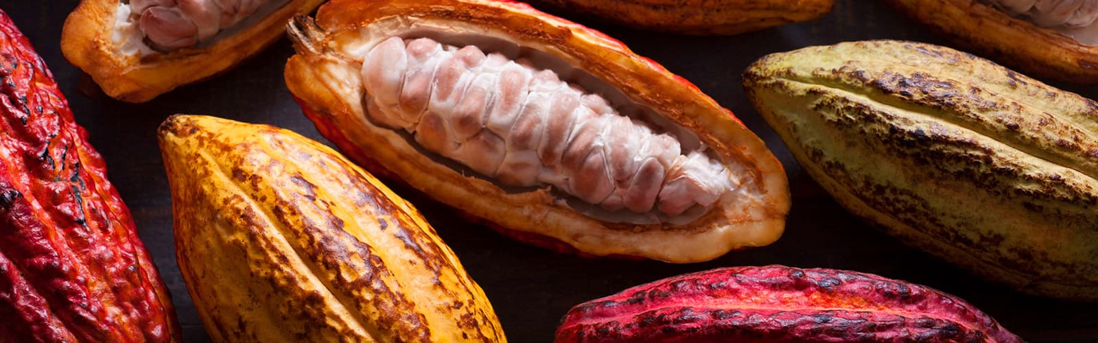 CACAO