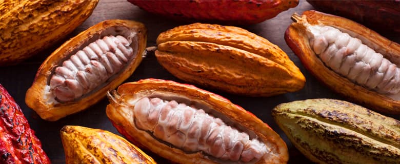 Peruvian Products Cacao